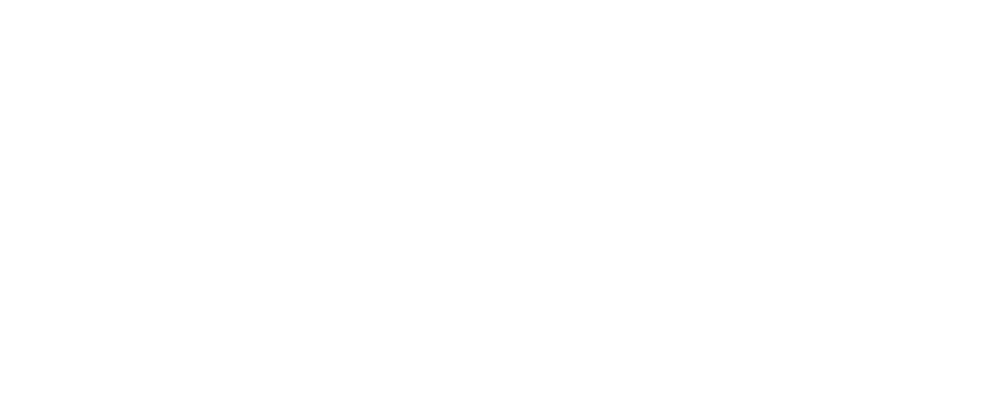 Stefanello de Oliveira Logo